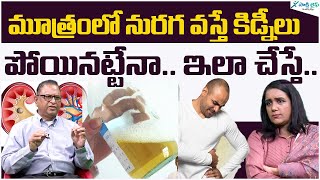 Causes of Foamy Urine and Kidney Disease | Kidney Damage Symptoms | Foamy urine: What does it mean? | Dr. Purnachandra reddy