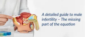 A detailed Guide To Male Infertility – The Missing Part Of The Equation