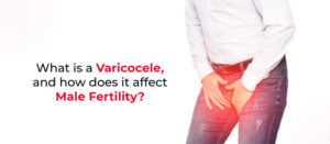What is a Varicocele, and how does it affect Male Fertility?
